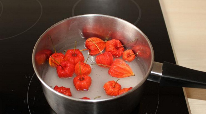 chinese lantern plant arrangement