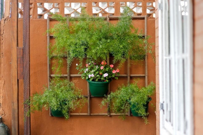 VERTICAL GARDEN with 2 pallets, DIY for balcony 