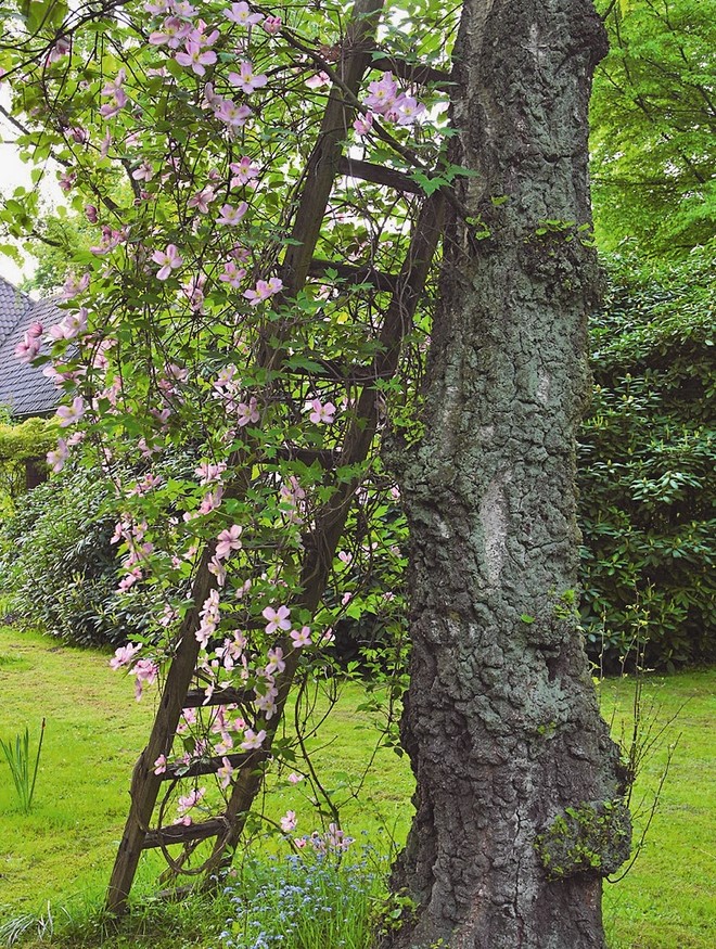 Featured image of post Old Ladder Ideas For Garden : In those cases it will rather be another clever organizer than an accent.