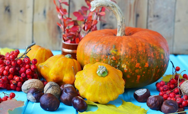 Read more about the article Natural fall decorations – 9 quick and easy craft ideas