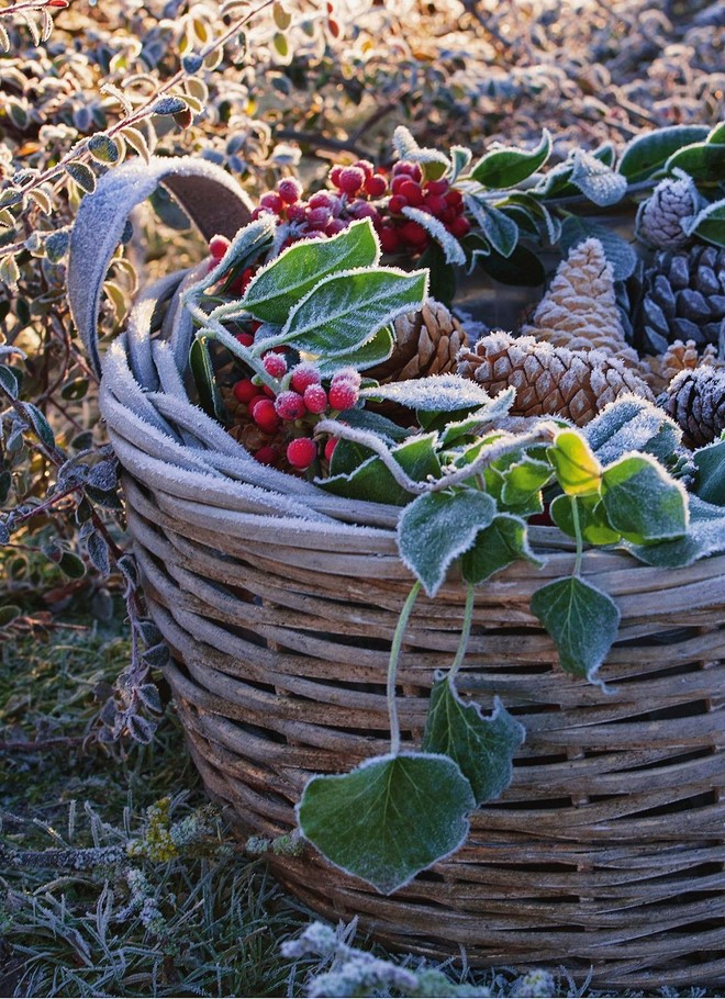 ideas for outdoor christmas decor basket filled with forest and garden finds winter composition