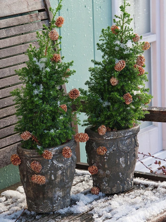 outdoor christmas porch decoration small yew tree decorated with garland of cones