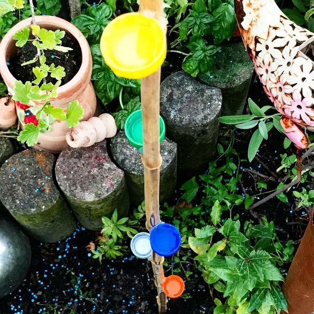 Bee watering station DIY: What is it and how to make it